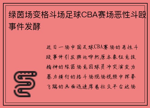 绿茵场变格斗场足球CBA赛场恶性斗殴事件发酵