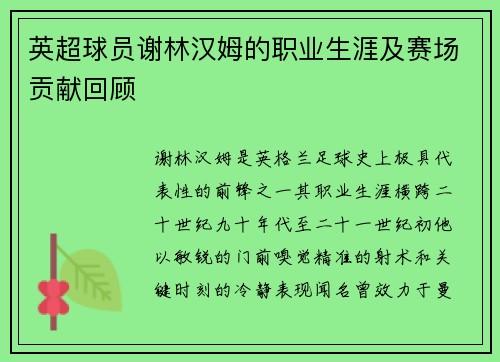 英超球员谢林汉姆的职业生涯及赛场贡献回顾
