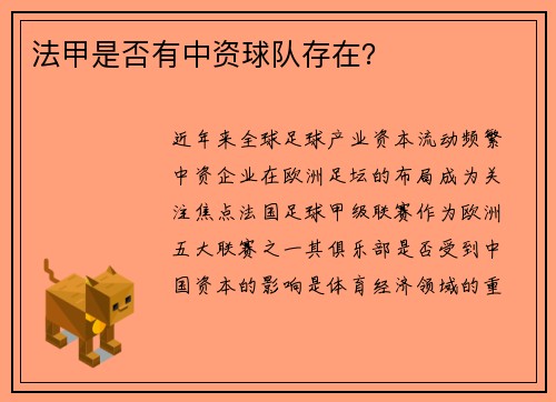 法甲是否有中资球队存在？